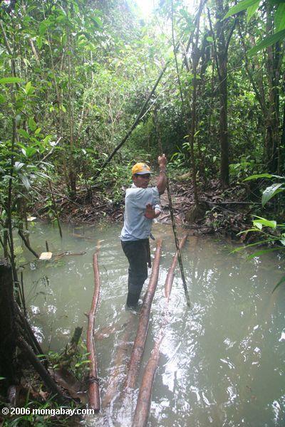 Stromüberfahrt im kolumbianischen Amazonas