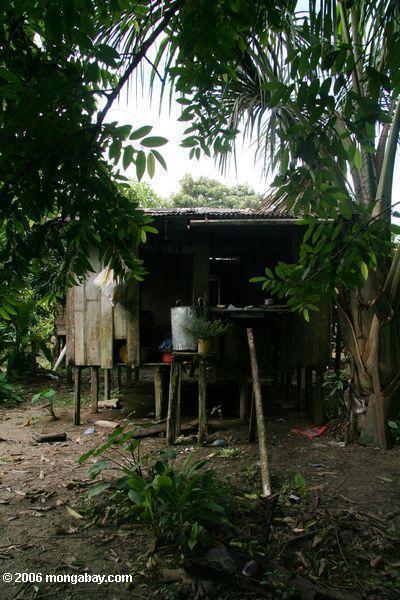 Küche in einem Amazonas Haupt