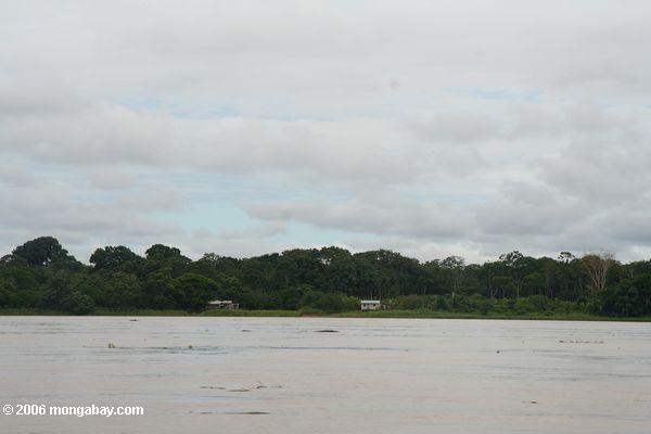 Häuser auf der Bank des Amazonas Flusses