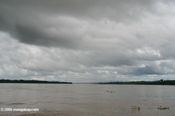 レチシア、コロンビアの近くの川アマゾン
