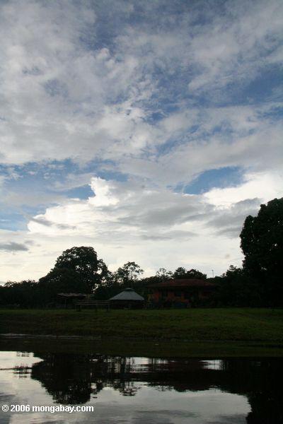 Ranch entlang dem Amazonas Fluß