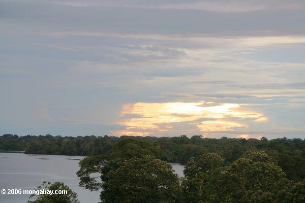 Sonnenuntergang im Amazonas rainforest