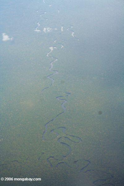 Luftaufnahme eines schlängelnden Stromes im kolumbianischen Amazonas