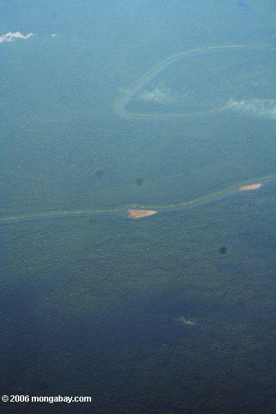 Herzanordnung in einem Amazonas Fluß