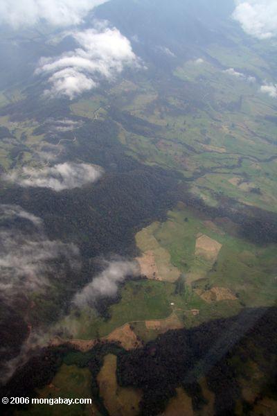 Luftaufnahme der Waldreinigung in der kolumbianischen Landschaft
