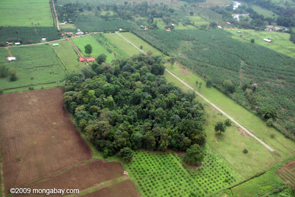 Aerial view of forest fragment in Costa Rica. Photo by: Rhett A. Butler.