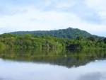 Rainforest rising above Essequibo Rver