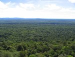 Overlooking rainforest