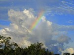 Rainbow above rainforest