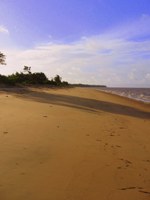 The beach in Suriname
