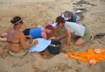 Scientist and volunteer counting leatherback sea turtle eggs