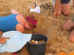 Scientist and volunteer counting leatherback sea turtle eggs