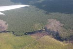 Aerial view of peat forest logging in Central Kalimantan