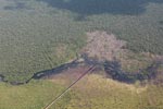 Aerial view of peatland being drained and cleared in Central Kalimantan [kalimantan_0033]
