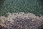 Aerial view of peatland destruction in Borneo [kalimantan_0038]