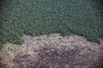Aerial view of peatland destruction in Borneo
