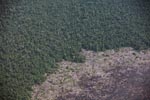 Aerial view of peatland destruction in Borneo [kalimantan_0040]