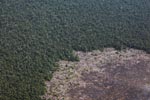 Aerial view of peatland destruction in Borneo [kalimantan_0043]