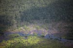 Aerial view of peatland destruction in Borneo [kalimantan_0045]