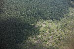 Aerial view of peatland destruction in Borneo [kalimantan_0053]
