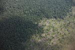 Aerial view of peatland destruction in Borneo [kalimantan_0055]