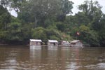 Floating houses near Nyaru Menteng [kalimantan_0135]
