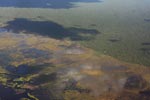 Aerial view of peatlands in Central Kalimantan [kalimantan_9064]