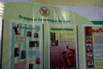 Orangutan information center display