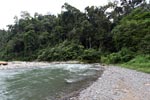 Bohorok River [sumatra_0154]