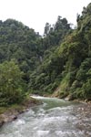 Bohorok River [sumatra_0189]