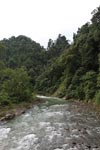 Bohorok River [sumatra_0190]
