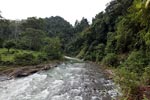 Bohorok River [sumatra_0191]