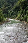 Bohorok River [sumatra_0195]