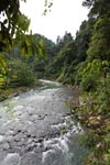 Bohorok River [sumatra_0199]