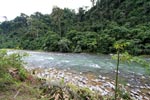 The clear-flowing Bohorok river [sumatra_0203]