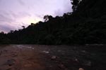 Bohorok River at sunset [sumatra_0215]