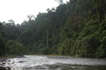 Bohorok River [sumatra_0239]