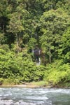 Waterfall flowing into the Bohorok River [sumatra_0259]