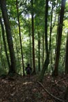 Darma in Gunung Leuser national park