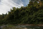 Rain forest along the Bohorok River [sumatra_0637]