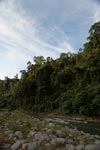 Rain forest along the Bohorok River [sumatra_0638]