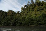 Rain forest along the Bohorok River [sumatra_0642]