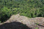 New oil palm development bordering Gunung Leuser National Park [sumatra_0675]