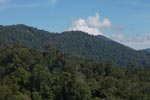 Gunung Leuser Rain Forest [sumatra_0708]