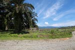 Oil palm plantation near Gunung Leuser National Park [sumatra_0755]