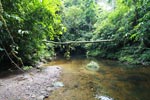 Rainforest creek in Gunung Leuser [sumatra_1073]
