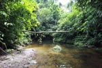Rainforest creek in Gunung Leuser [sumatra_1074]