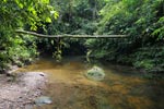 Rainforest creek in Gunung Leuser [sumatra_1078]