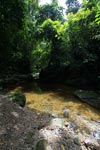 Rainforest creek in Gunung Leuser