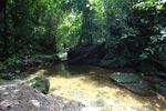 Rainforest creek in Gunung Leuser [sumatra_1082]